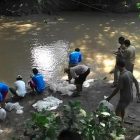 Jaga Ekosistem Sungai Pemkab Klaten Tebar Benih Ikan